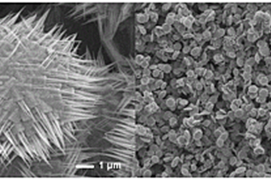 一类原位生长三维多级结构四氧化三钴微纳米材料、可控制备及应用