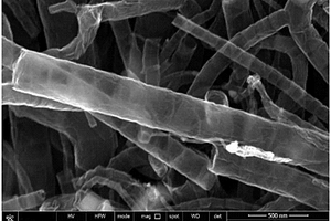 钴、钛、氮共掺杂碳纳米管/硫复合正极材料及其制备方法
