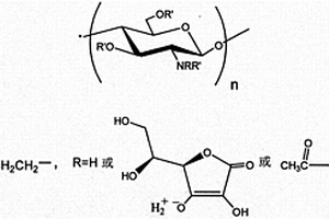 羟乙基壳聚糖抗坏血酸盐及其制备方法