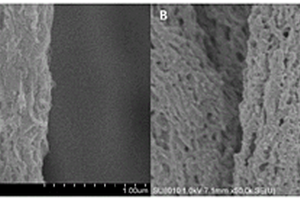 导电聚苯胺包覆聚酰亚胺基多孔有机纳米复合纤维膜