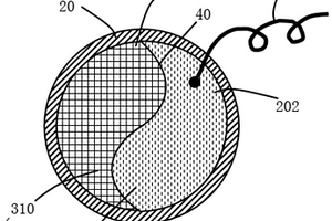 自毁结构、电解液、电极、隔膜及电池