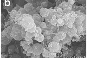 金属掺杂多孔碳微球/CNTs复合材料的制备方法