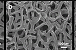银-氧化银异质纳米花修饰泡沫铜及其制备方法和应用