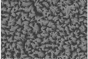 多孔CoFe2O4纳米棒阵列薄膜材料及其制备方法