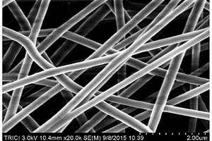 生化腐植酸基炭纳米纤维电极的制备方法
