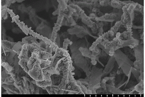 串晶结构席夫碱聚合物/碳纳米管复合电极材料及其制法