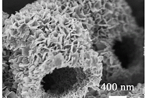 碳基架负载纳米片组装的中空开口微球的复合薄膜及其制备方法和应用