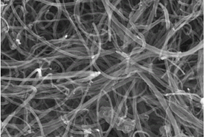 高纯度碳纳米管的制备方法及用途
