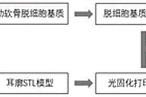 基于脱细胞肋软骨基质的3D打印生物墨水及其制备方法与应用