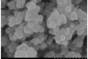 碳包覆Co、Ni复合氧化物纳米颗粒的制备方法