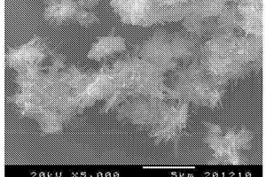 具有各向异性结构的碱金属钛氧化物和钛氧化物以及包含这些氧化物的电极活性物质和蓄电装置