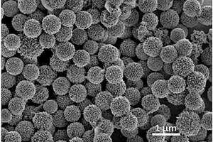 具有分级结构的铁基氟化物纳米材料及其制备方法和应用