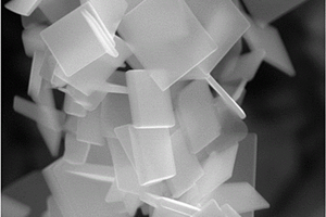 硒化亚锡正方形纳米片及其制备方法