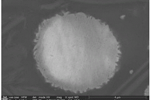 金属钒酸盐化合物共掺杂的高镍三元前驱体及其制备方法