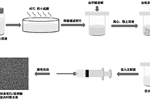 丝素蛋白提取方法、基于丝素蛋白/松萝酸的复合皮肤支架及其制备方法