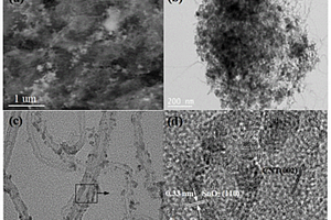 基于等离子体的二氧化锡/碳纳米管复合材料的制备方法及其应用