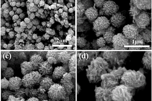 花球状TiO<sub>2</sub>/MoO2复合纳米材料、制备方法及应用
