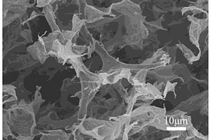 石墨化碳泡沫支撑碳材料/碳化钼复合材料及其制备方法和用途