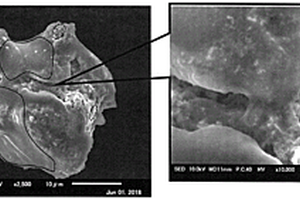 石榴石型复合金属氧化物颗粒和其制造方法、及石榴石型复合金属氧化物的压缩成形物