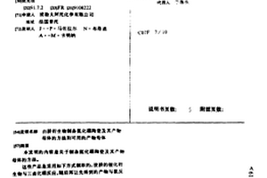 由肼衍生物制备氮化硼陶瓷及其产物母体的方法和可用的产物母体