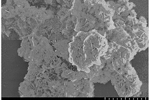氧化铅微纳片及其制备方法