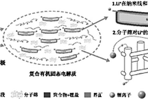 具有多重Li<sup>+</sup>传导通路的复合有机固态电解质及其制备方法