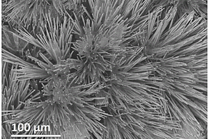 氧化钒微米棒簇及其制备方法和应用