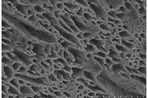 纳米纤维素MXene凝胶及其制备方法和应用