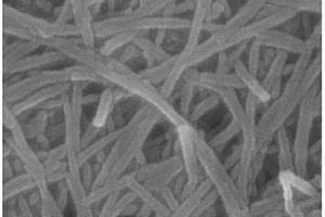 二氧化钛纳米管及其制备方法
