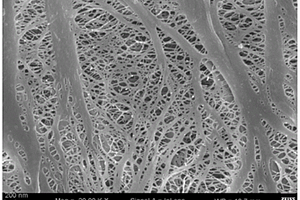 聚丙烯微孔膜用孔率调节剂、微孔膜及其制备方法