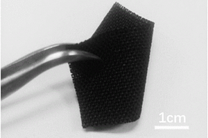 纳米颗粒/碳纤维布复合电极材料及其制备方法
