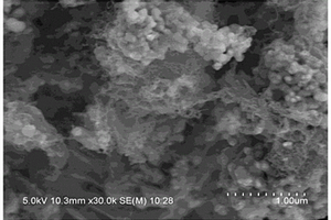 硅-碳-碳纳米管复合负极材料及其制备方法、应用