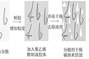 高分散易储存的改性碳纳米管粉体及其制备方法和用途