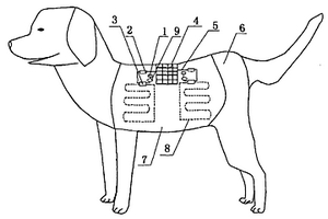 铜铟镓硒薄膜太阳能电池应用在宠物狗衣服上的保暖装置
