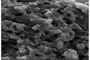 用作钾离子电池负极的氮-钴-氧三掺杂的网络状碳材料的制备方法
