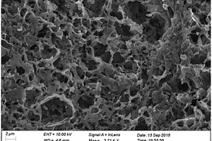 生物微晶石墨-碳纳米膜碳电极及其制备方法与电池