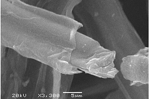 纤维素基炭纤维、制备方法及其用于制备电极材料的方法