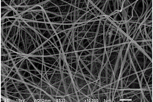 Li<sub>2</sub>TiSiO<sub>5</sub>-C纳米纤维的静电纺丝制备方法