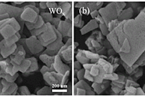 缺陷钨氧化物/钌纳米颗粒复合型催化剂及其制备方法和应用
