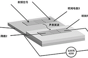 声表面波增强型深紫外探测器及其制备方法