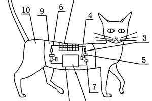 有机发光显示器应用在猫衣服上的广告装置
