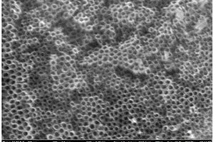超长细钛管内表面二氧化钛纳米管阵列的制备方法