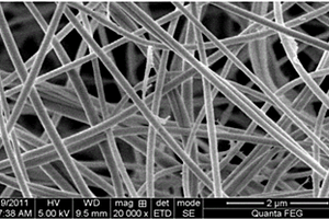 含纳米晶体纤维素的聚酰亚胺膜及其制备方法