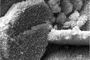 蜂巢状氧化亚锡纳米材料的制备方法