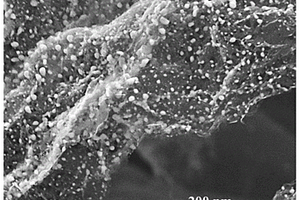 γ-Fe<sub>2</sub>O<sub>3</sub>刻蚀的多孔石墨烯复合材料制备方法及应用