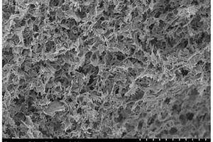 松枝状氧化钐石墨烯硫凝胶结构材料及制备方法与应用