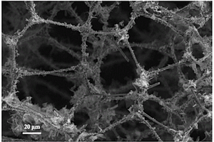 氮掺杂碳泡沫@WS<sub>2</sub>纳米片三维网络复合结构的制备方法