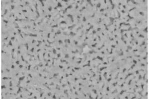 稀土钕掺杂钨酸镍纳米材料及其制备方法