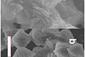 二氧化钛B相材料及其制备方法和应用