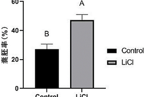 激活Wnt/β-catenin信号通路在提高水牛体外胚胎生产效率中的应用